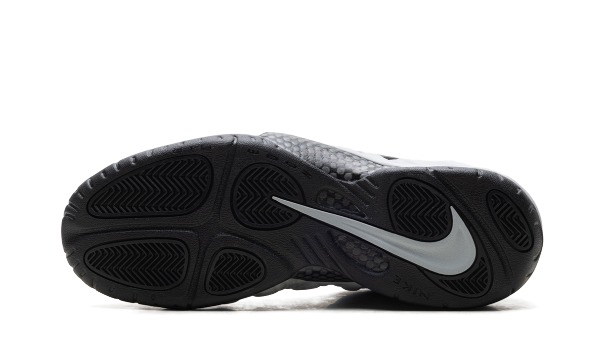 Air Foamposite Pro "Wolf Grey" HF0794 001