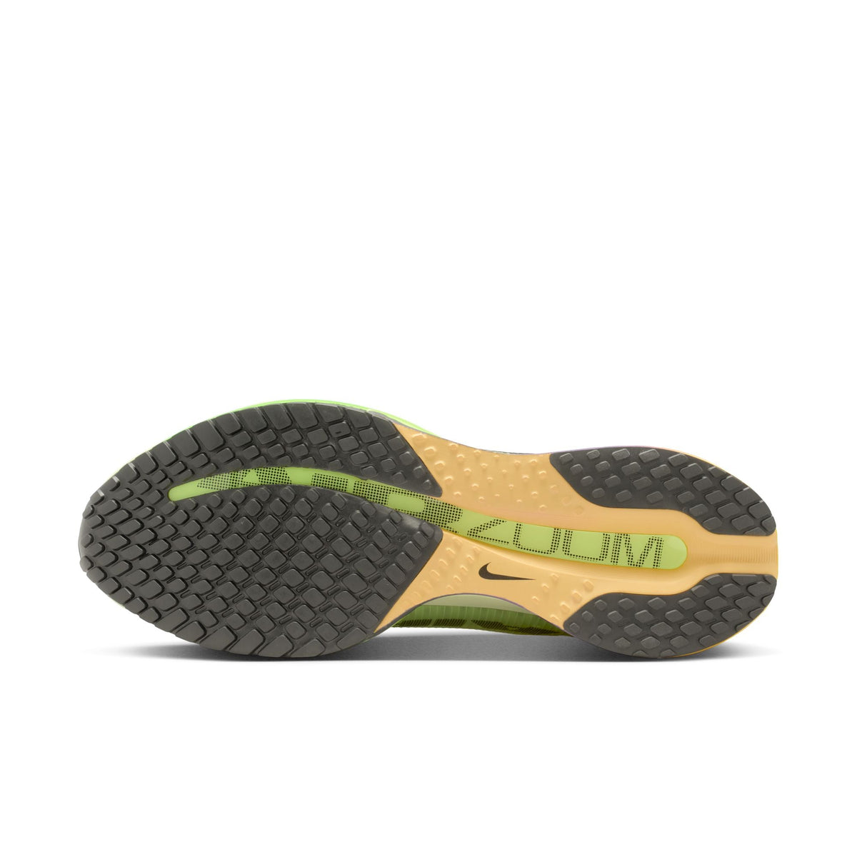 Nike Pegasus Premium - Men's