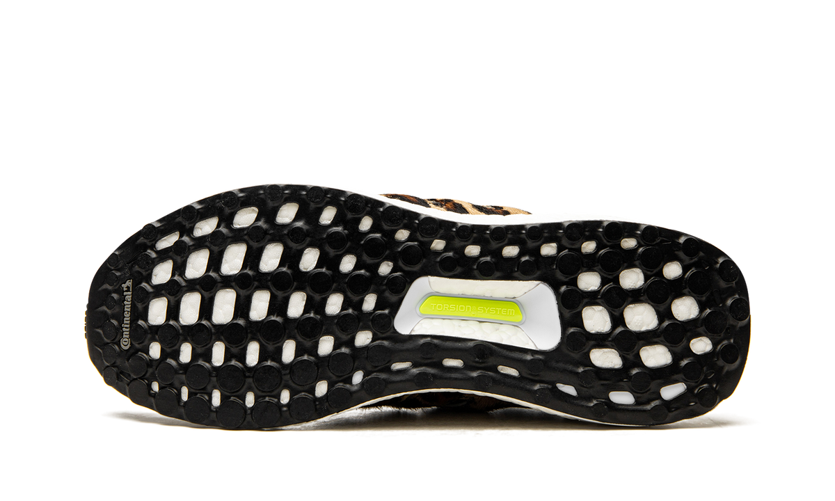 Ultraboost DNA "Animal Pack-Leopard" FZ2731