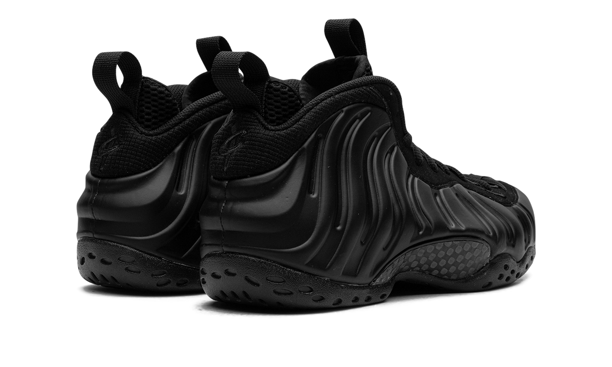 Air Foamposite One "Anthracite" FD5855 001