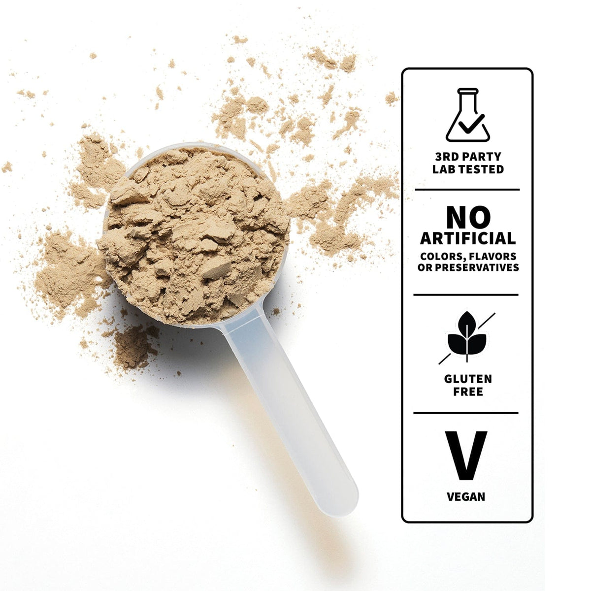 Plant Protein